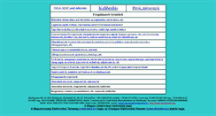 Desktop Screenshot of metsystem.hu